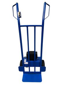 DM300 